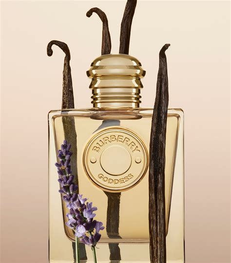 new burberry parfum|where to buy burberry goddess.